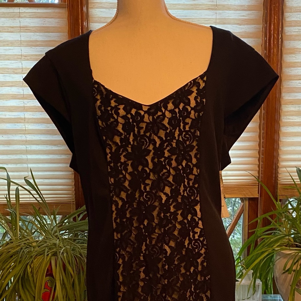 🆕👗Alexia Admor Dress Lace Overlay